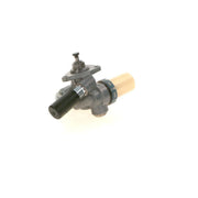 Bosch Fuel Pump Assembly