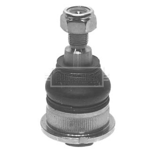 Borg & Beck Ball Joint Lower BBJ5388