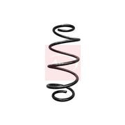 Apec Rear Suspension Coil Spring ACS1698