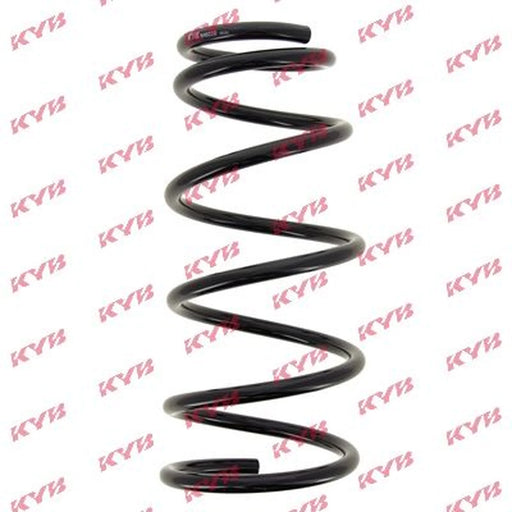 KYB Rear Suspension Coil Spring RA6028