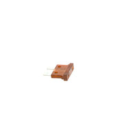 Bosch Automotive Fuse