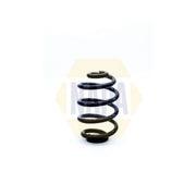 NAPA 2 x Suspension Springs fits BMW 3 1999-2007
