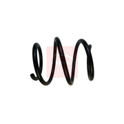 Apec Front Suspension Coil Spring ACS1818