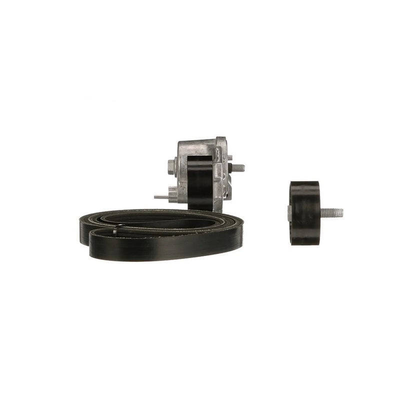 Gates V-Ribbed Belt Set K086PK1633