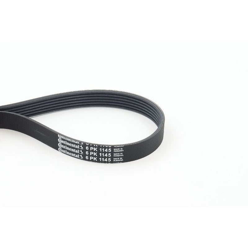 Continental CTAM Multi V-Ribbed Drive Belt fits Citroën Relay I Bus 1999-2002