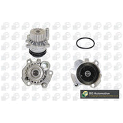 BGA Engine Cooling Water Pump CP18756