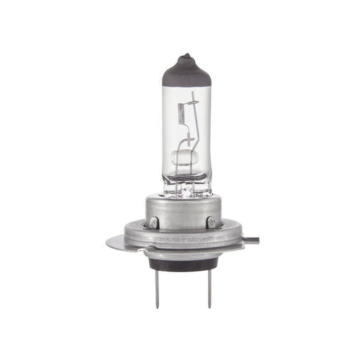 Ring 12V 100/80W H4 P43T Rally Off Road Car Upgrade Headlight Headlamp Bulbs Ring  - Dynamic Drive