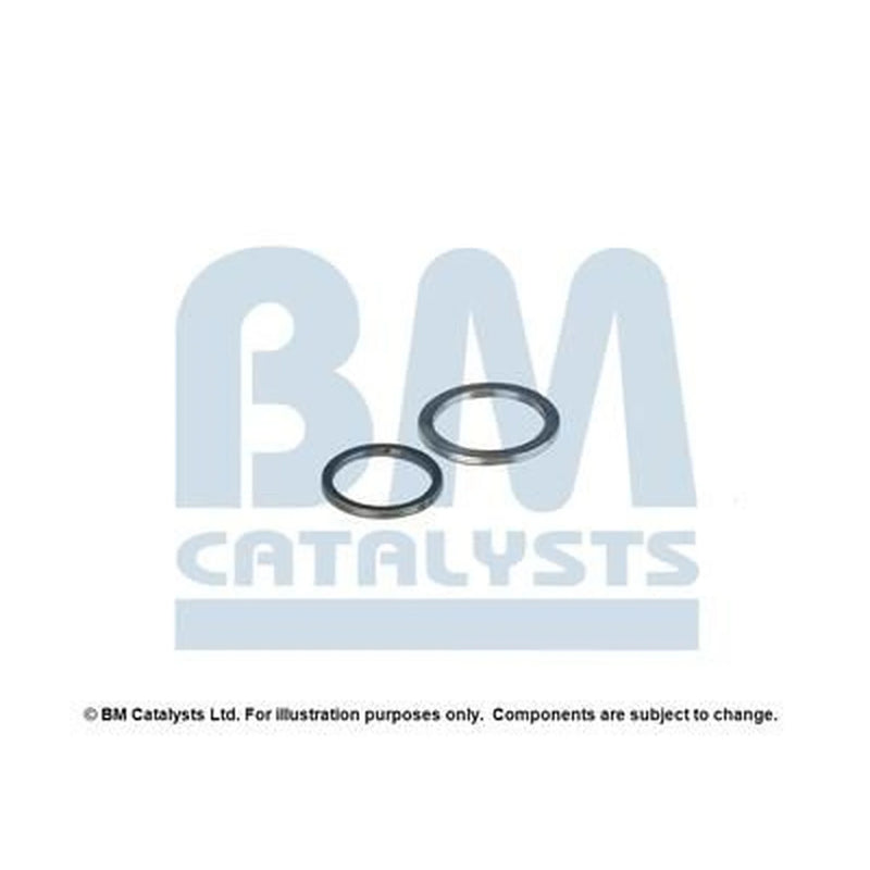 BM Catalysts Fitting Kit FK90822A FK90822A