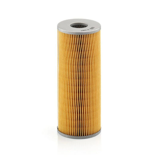 MANN-FILTER Service Kit with Air & Oil Filters fits Daf F 2600 1972-1973