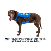 Ruffwear Trail Runner Dog Running Vest in Blue Pool (Medium) Ruffwear - Bars 4 Cars