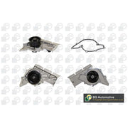 BGA Engine Cooling Water Pump CP18858