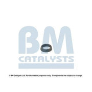 BM Catalysts Fitting Kit FK90036A FK90036A