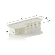 MANN-FILTER Engine Air Filter C 3318