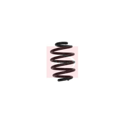 Apec Rear Suspension Coil Spring fits BMW Z4 Roadster 2002-2009 2.0 2.2 2.5