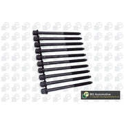 BGA Cylinder Head Bolt Set M11 BK2354