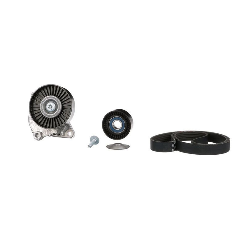 Gates V-Ribbed Belt Set K036PK2448