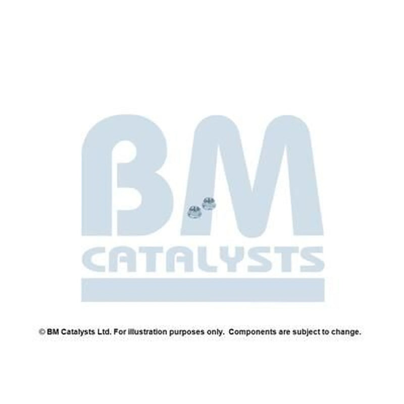 BM Catalysts Fitting Kit FK90971B FK90971B