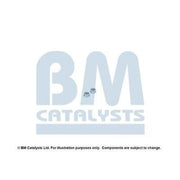 BM Catalysts Fitting Kit FK90972B FK90972B