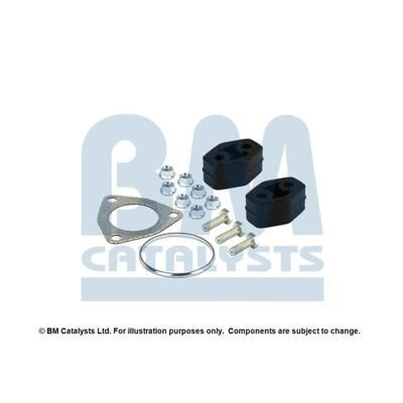 BM Catalysts Fitting Kit FK91279C FK91279C