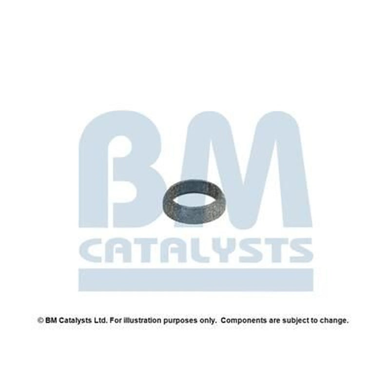 BM Catalysts Fitting Kit FK92352A FK92352A
