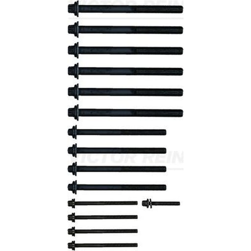 Victor Reinz Cylinder Head Bolt Set 14-32359-01