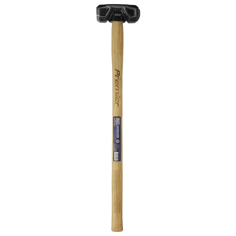 Sealey Sledge Hammer 6lb Hickory Shaft SLH061 Sealey - Dynamic Drive