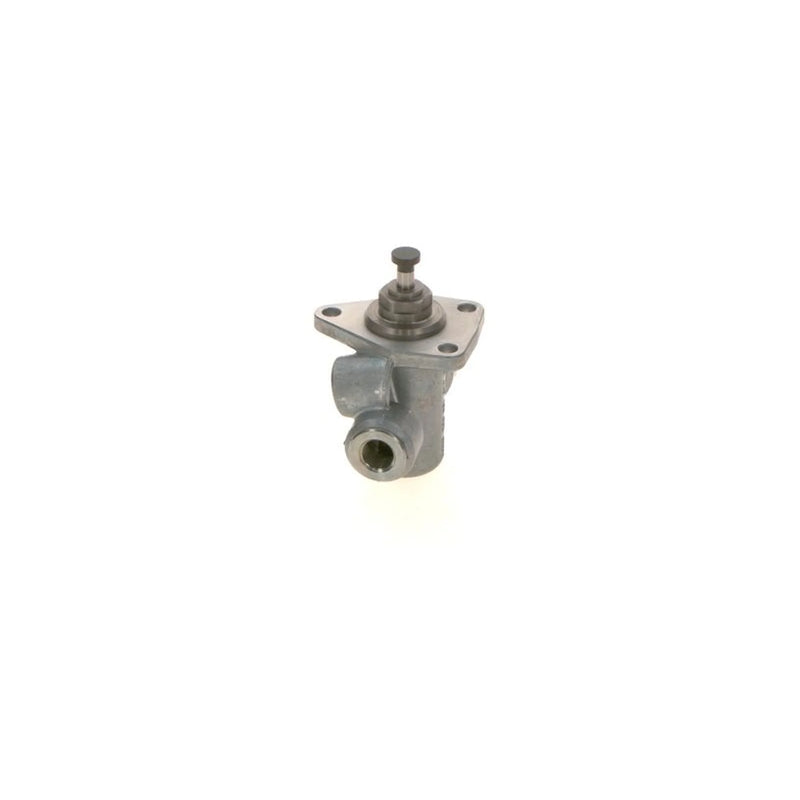 Bosch Fuel Pump Assembly