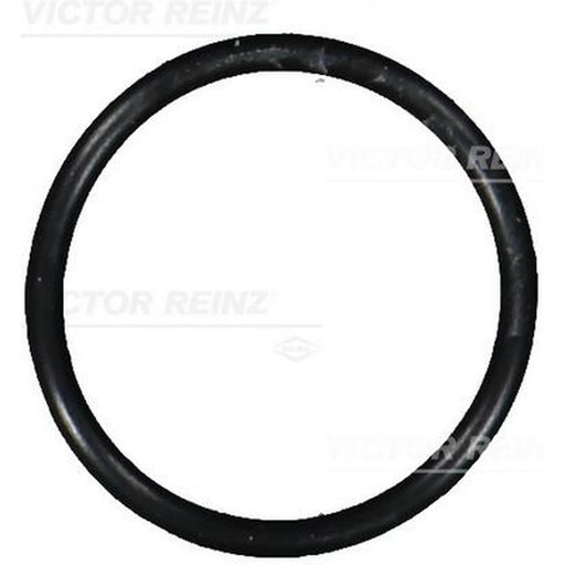 Victor Reinz Sealing Ring Gasket 40-76101-00
