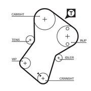 Gates Timing Belt Kit with Rollers fits Citroën Berlingo First 1996-2003 1.8 1.9