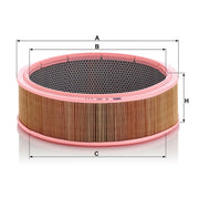 MANN-FILTER Engine Air Filter