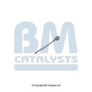 BM Catalysts Pressure Pipe PP11375A