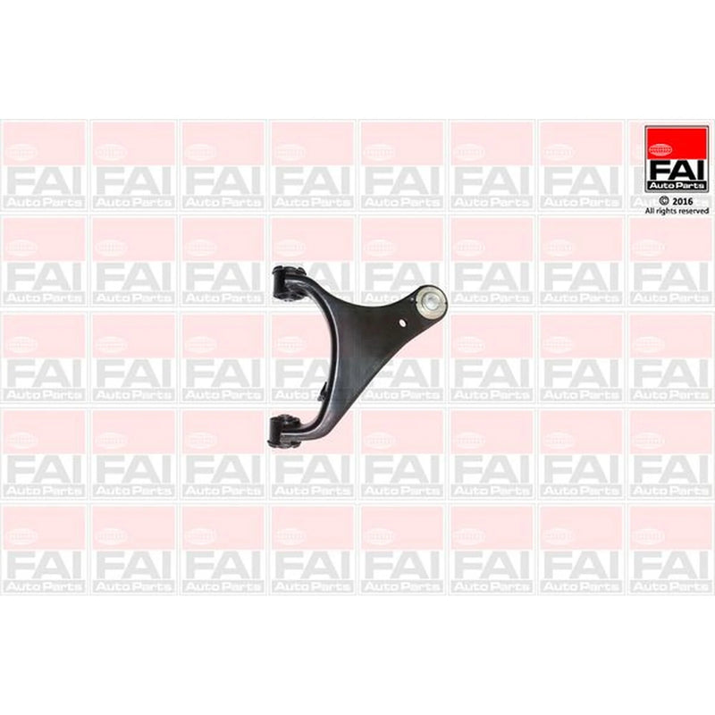 FAI Control/Trailing Arm