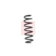 Apec Rear Suspension Coil Spring ACS1640