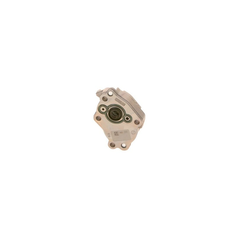 Bosch Fuel Pump Assembly