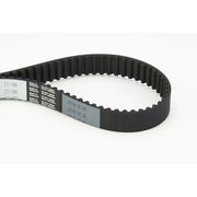 Continental CTAM Timing Belt Cambelt 145 Teeth fits Audi A3 2003-2008 2.0