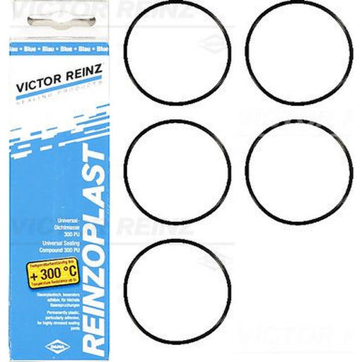 Victor Reinz Cylinder Head Cover Gasket Set 15-76741-02