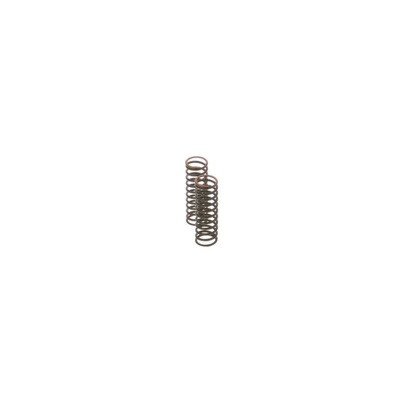 Bosch Compression Spring
