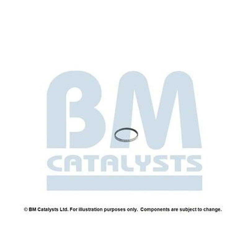 BM Catalysts Fitting Kit FK15068A FK15068A