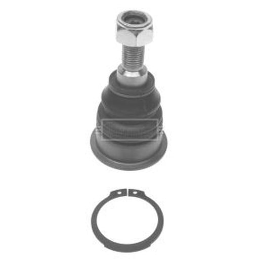 Borg & Beck Ball Joint Lower BBJ5586
