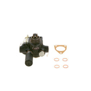 Bosch Fuel Pump Assembly