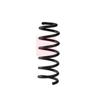 Apec Front Suspension Coil Spring fits Mercedes-Benz C-Class 2014-2018