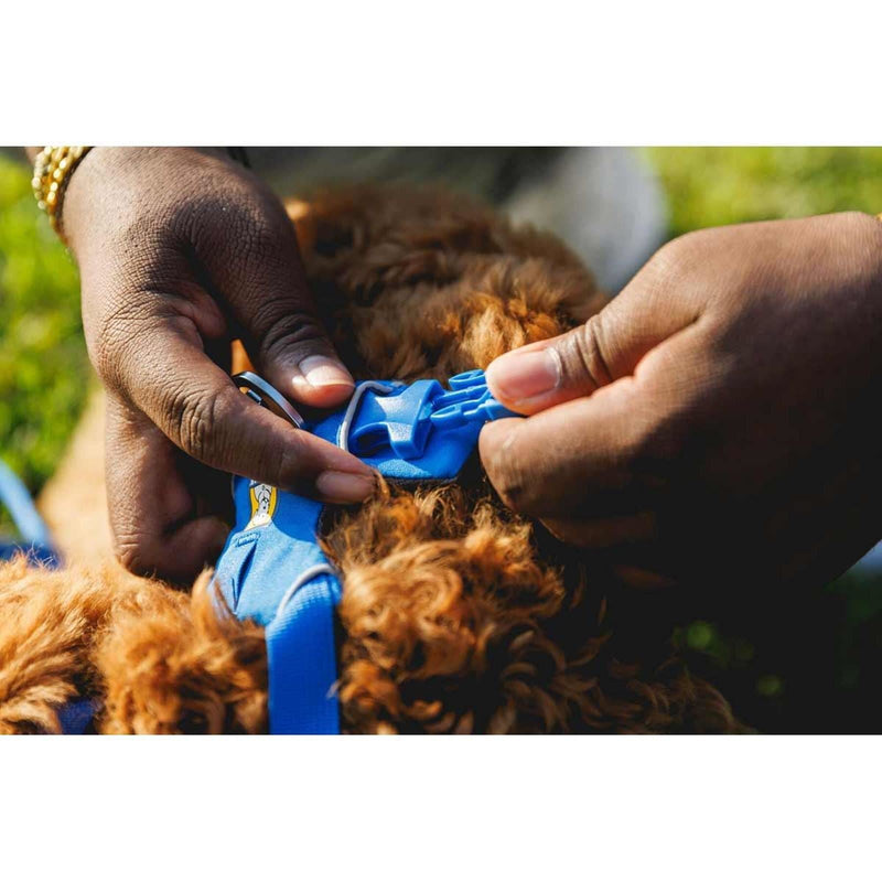 Ruffwear Front Range Dog Harness in Blue Pool (X Small) Ruffwear - Dynamic Drive