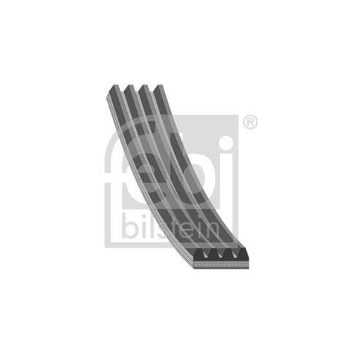 Febi Multi V-Ribbed Drive Belt 192872