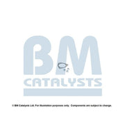 BM Catalysts Exhaust Pipe Mounting Kit FK50199B