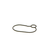 Bosch Sealing Ring Gasket