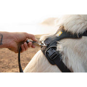 Ruffwear Front Range Dog Harness in Basalt Grey (Small) Ruffwear - Dynamic Drive