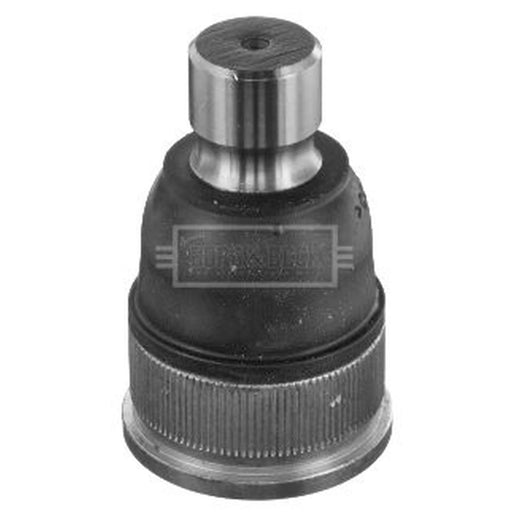 Borg & Beck Ball Joint Lower BBJ5710