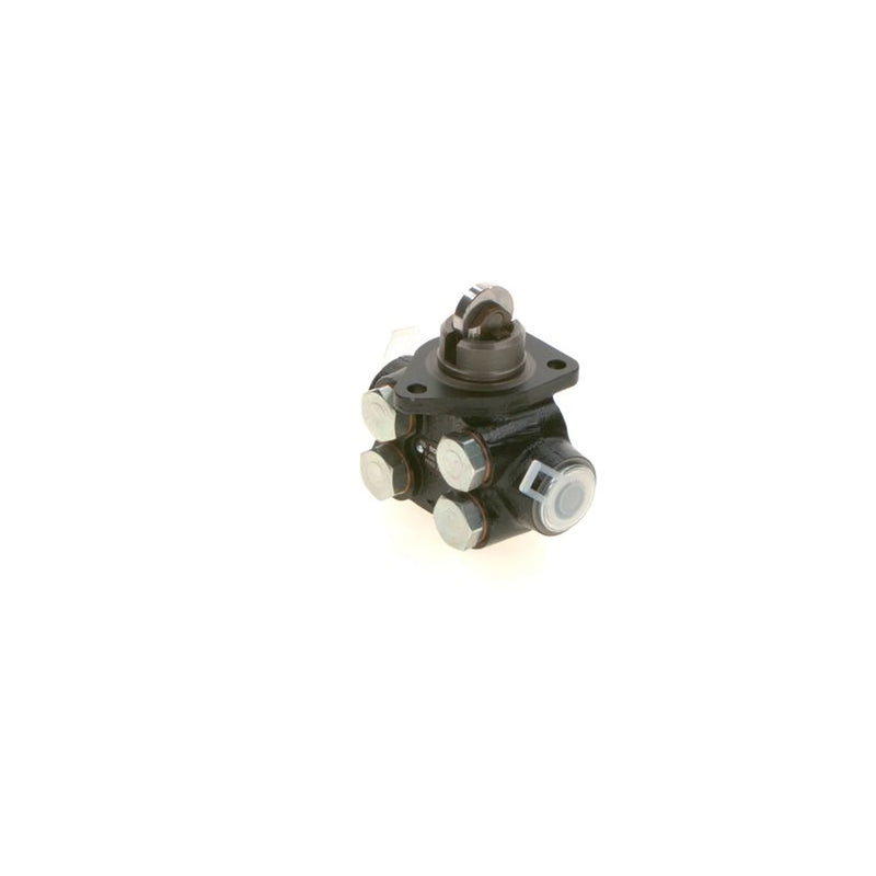 Bosch Fuel Pump Assembly
