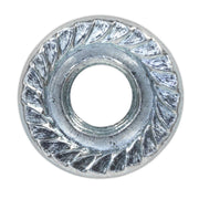 Sealey Flange Nut Serrated M6 Zinc Pack of 100 FN6 Sealey - Dynamic Drive