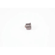 Bosch Engine Control Valve